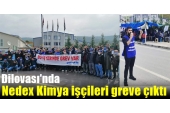 Dilovası'nda Nedex Kimya işçileri greve çıktı