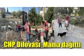 CHP Dilovası Sokak Hayvanları için mama dağıttı