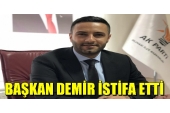 Dilovası AK Parti Gençlik Kolları Başkanı Demir istifa etti